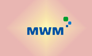 ✓ MWM 0331 6246 Запчасть MWM 